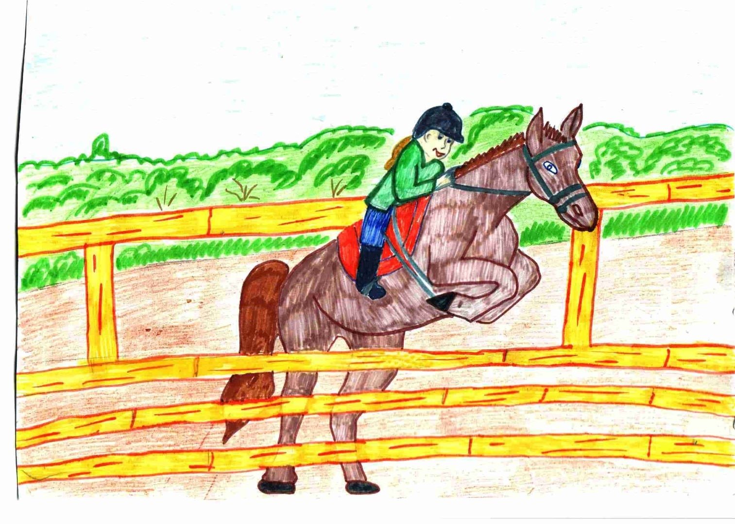 Конюшня рисунок. Конный спорт рисунок. Рисунок на тему конный спорт. Конный спорт рисунок для детей. Конный спорт детские рисунки.