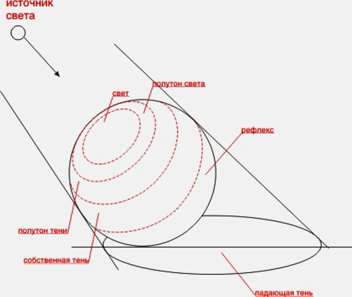 Как правильно рисовать тень от предметов