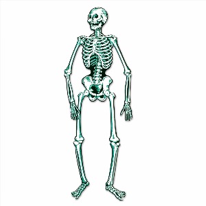 Скелет человека картинки для детей