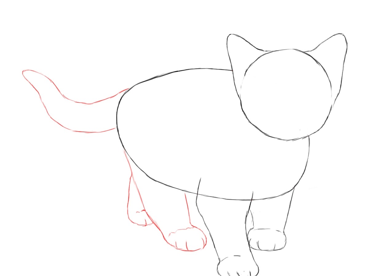 Нарисовать кошку поэтапно для детей. Поэтапное рисование кота. Поэтапное рисование кошки. Рисунок кота карандашом для срисовки. Пошаговое рисование кота для детей.