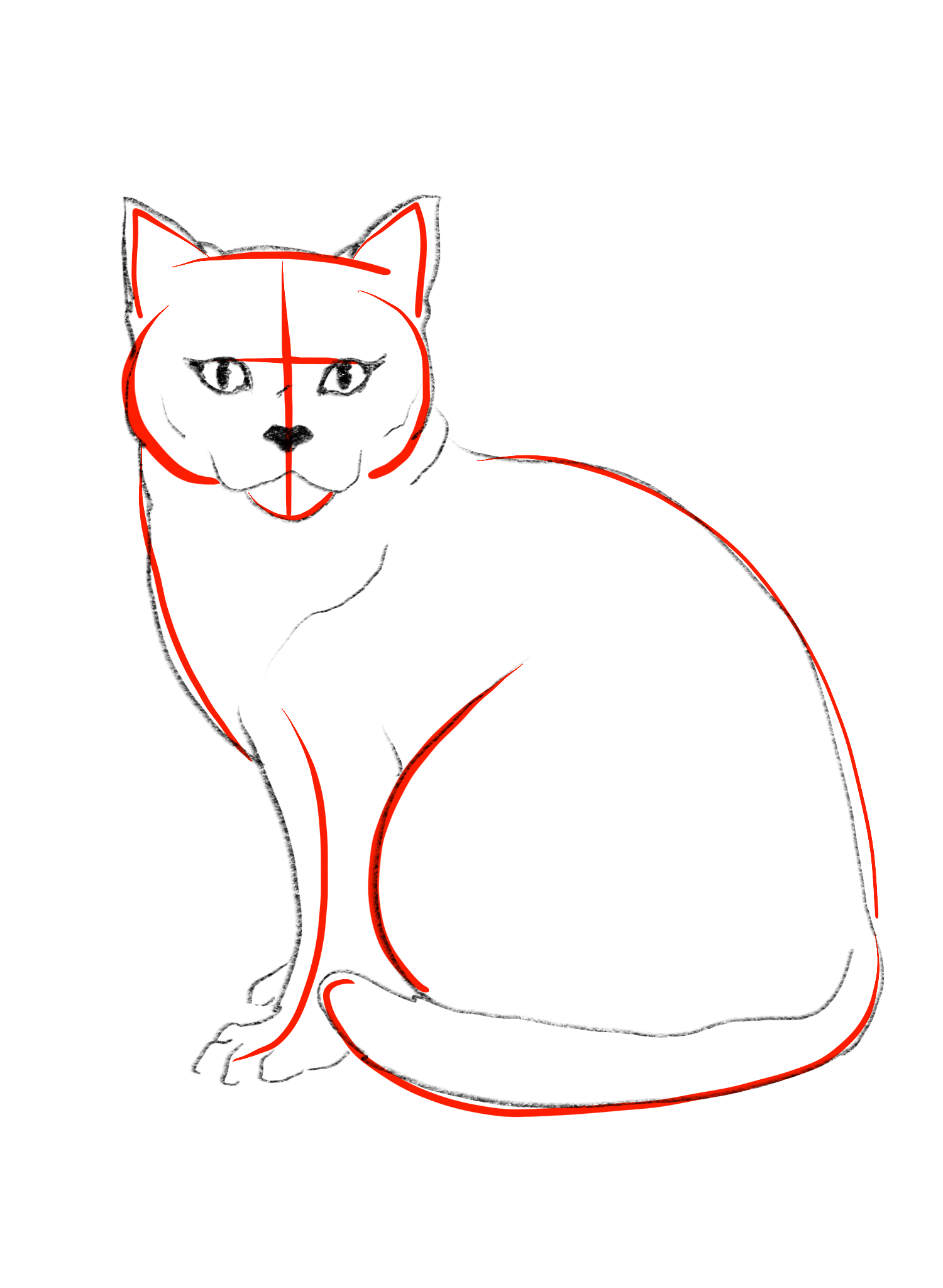Кошка рисунок. Поэтапное рисование кошки. Кошка рисунок карандашом. Поэтапное рисование кота карандашом. Быстро просто кошка