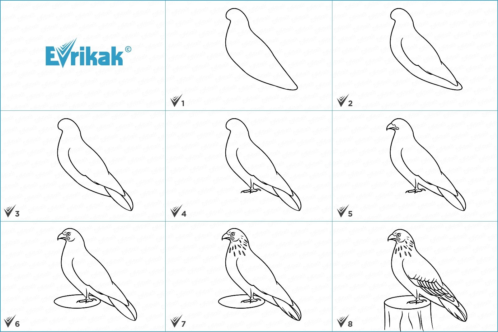 Ястреб рисунок поэтапно