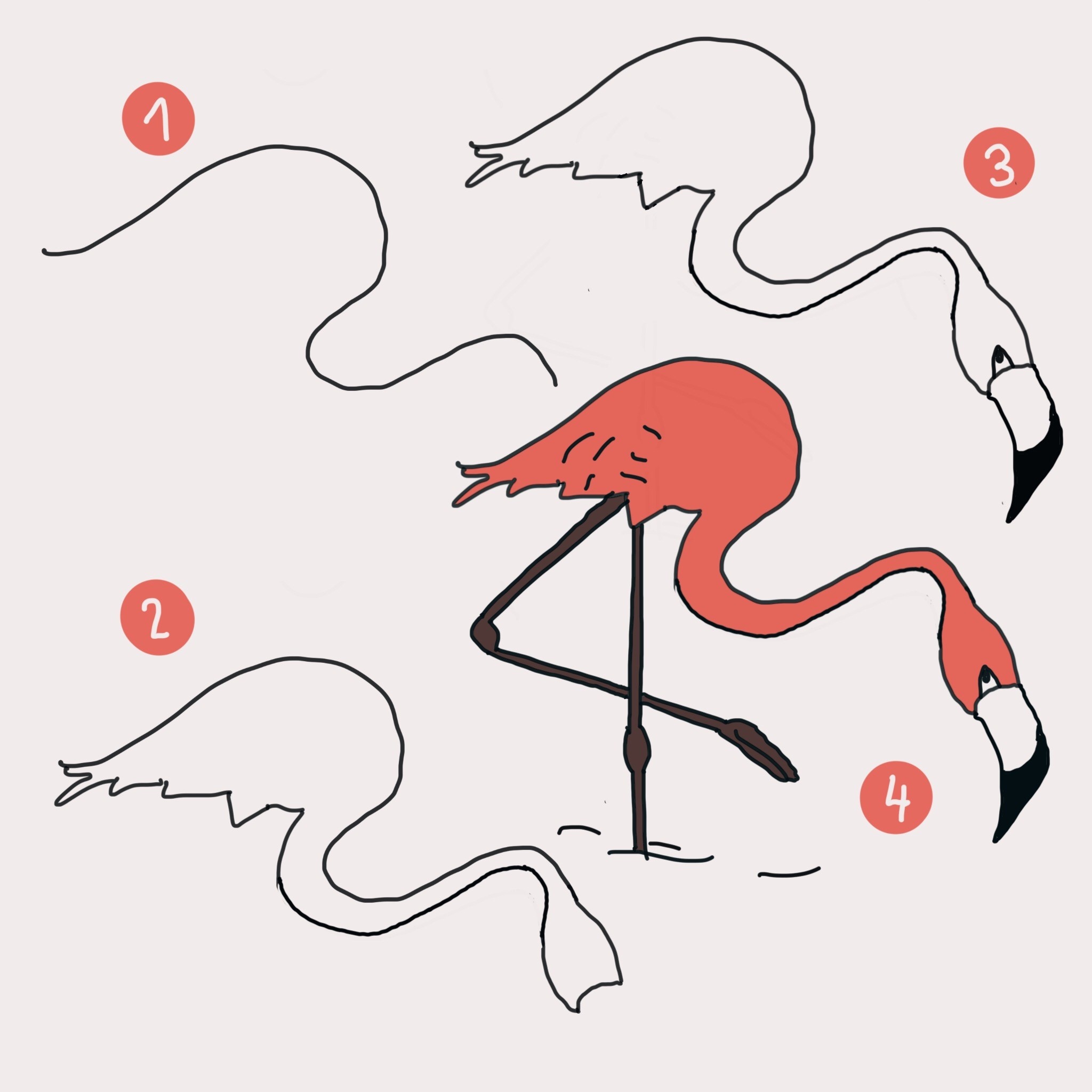 Фламинго рисунок для детей поэтапно