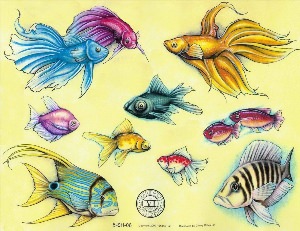 Морские рыбы рисунок