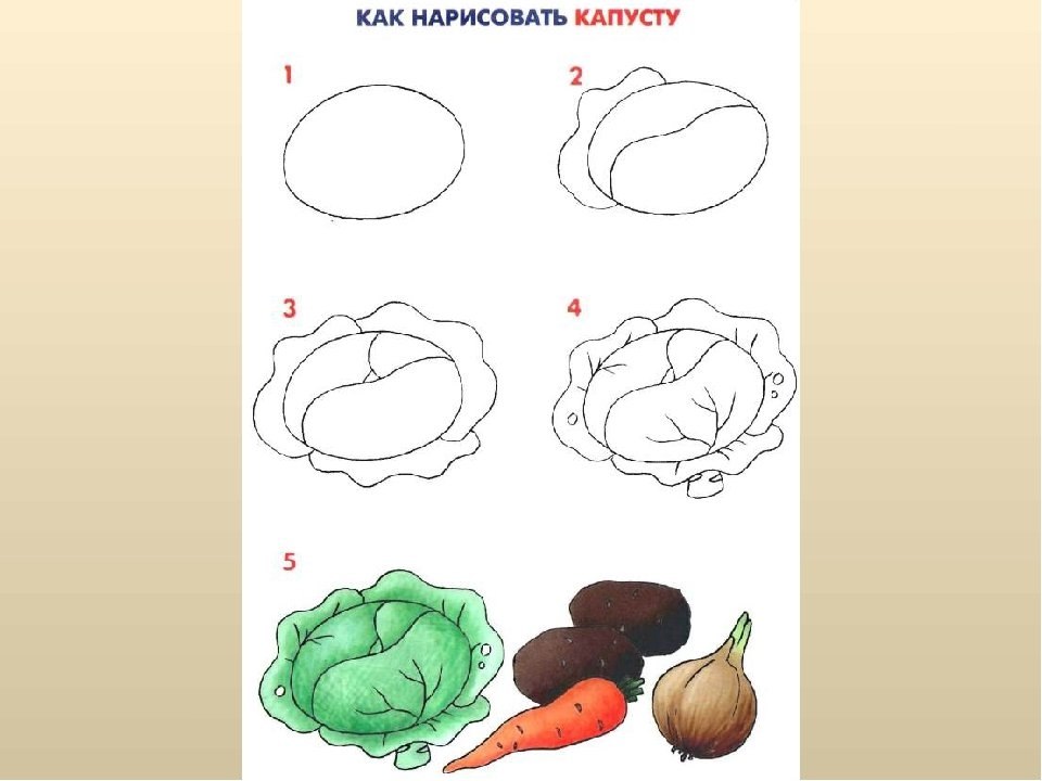 Капуста как рисовать