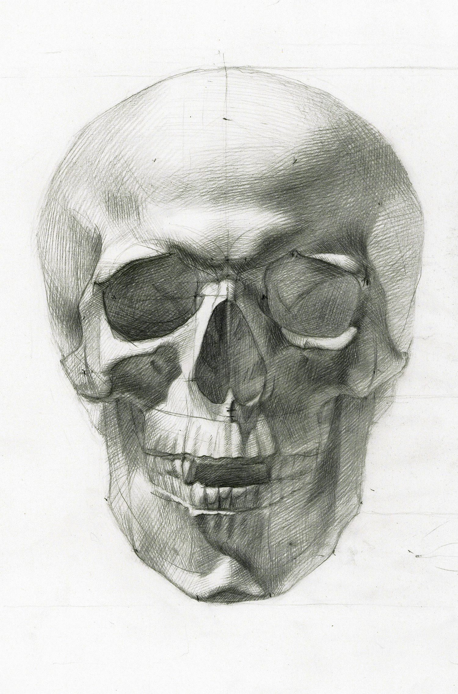 Череп анатомический рисунок карандашом