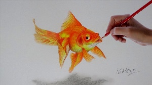 Золотая рыбка цветными карандашами
