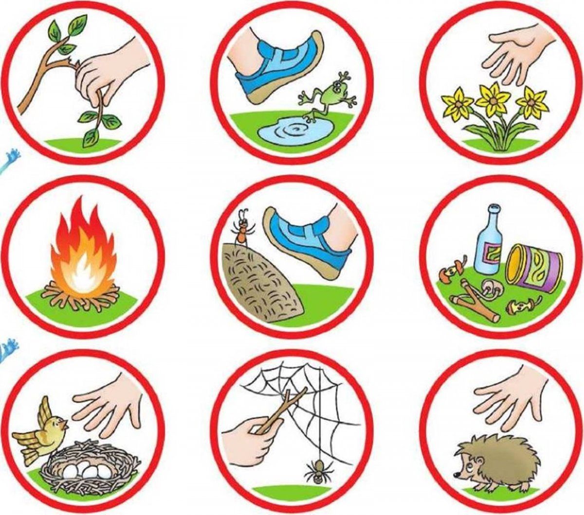 Что делает охрана природы. Знаки природы. Экологические знаки. Знаки охраны природы. Экологические знаки по охране природы.