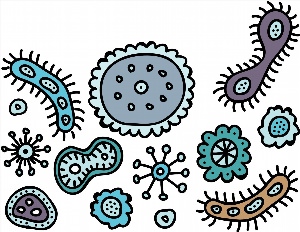 Бактерии рисунок для детей
