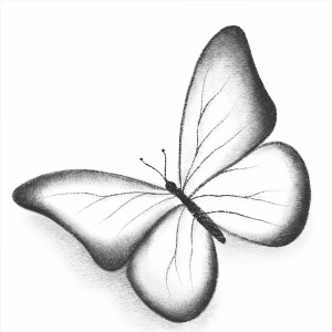 Бабочки для срисовки
