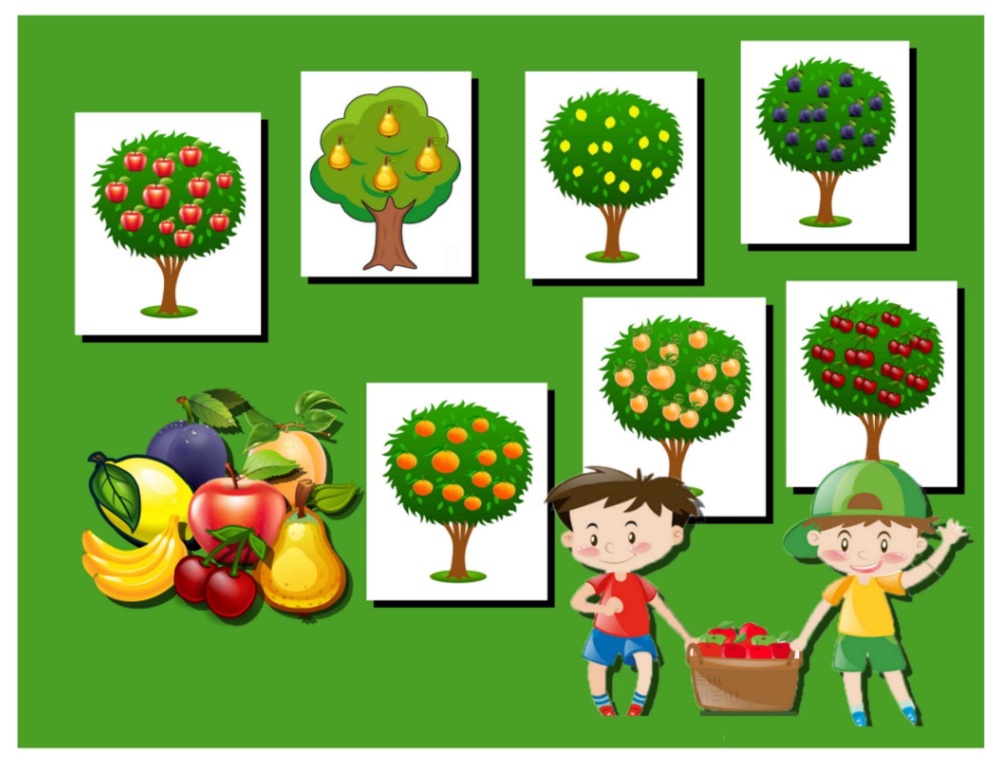 Детский садик росла. Плодовые деревья для дошкольников. Садовые деревья для детей. Фруктовые деревья для дошкольников. Садовые деревья и кустарники для детей.