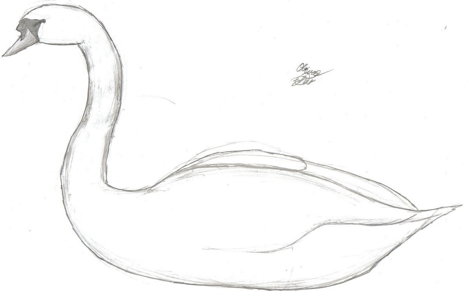 Нарисовать рисунок лебедушка. Лебедь рисунок карандашом. Лебедь рисунок карандашом для срисовки. Картинки лебедя для срисовки. Лебедь рисунок карандашом для детей.