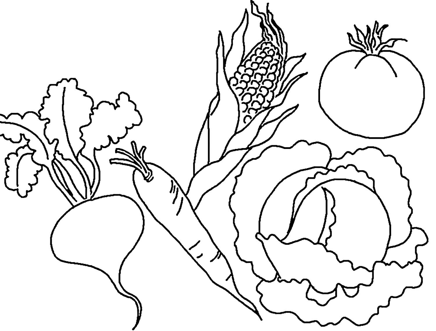 Рисунок овощного растения 2 класс