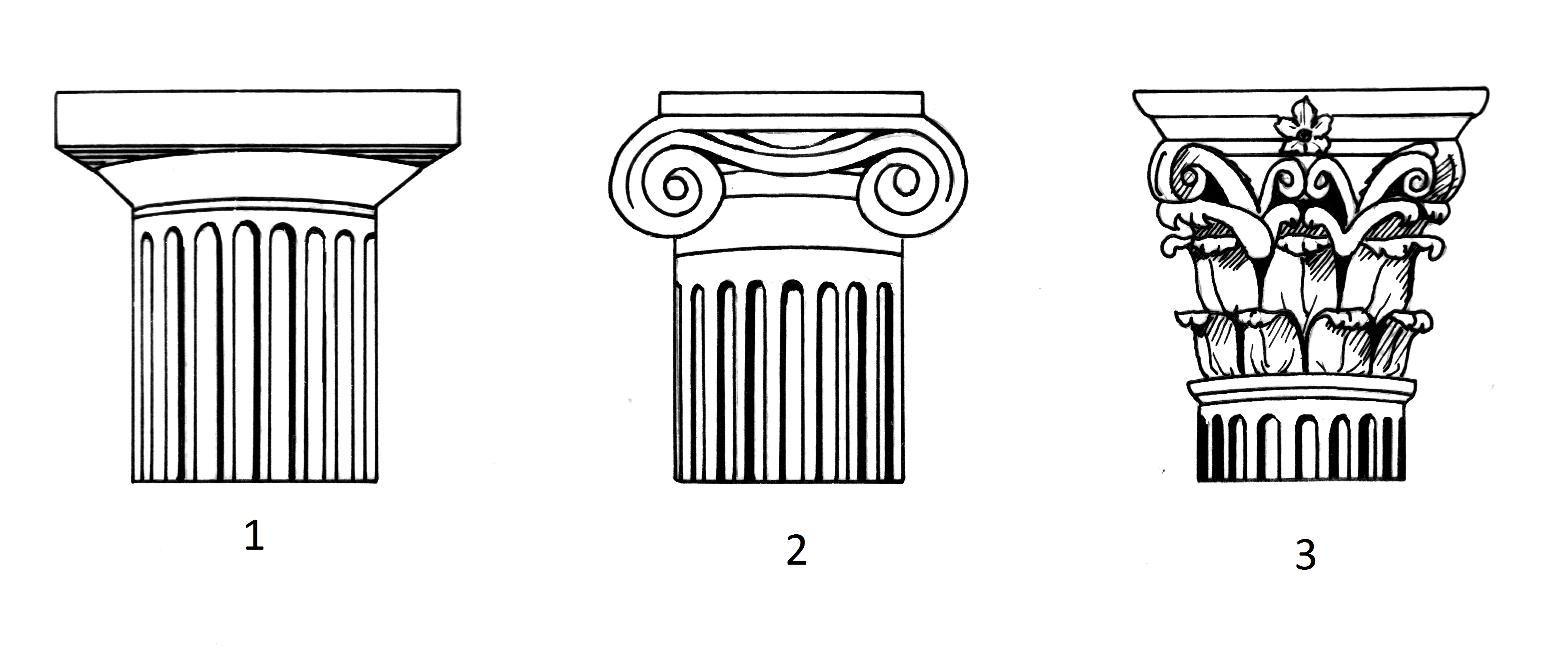 Ионическая колонна рисунок