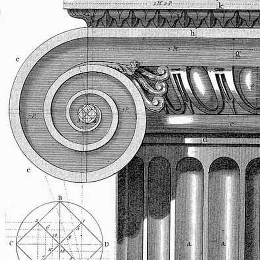 Ионическая колонна рисунок
