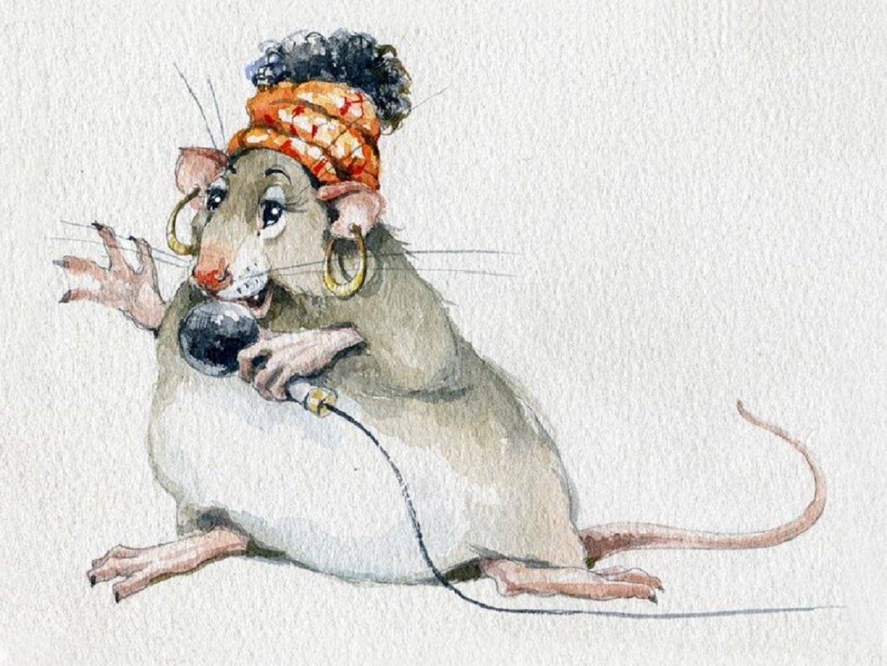 Картинки крысы смешные. Крыса. Забавные мышата. Крыса картина.