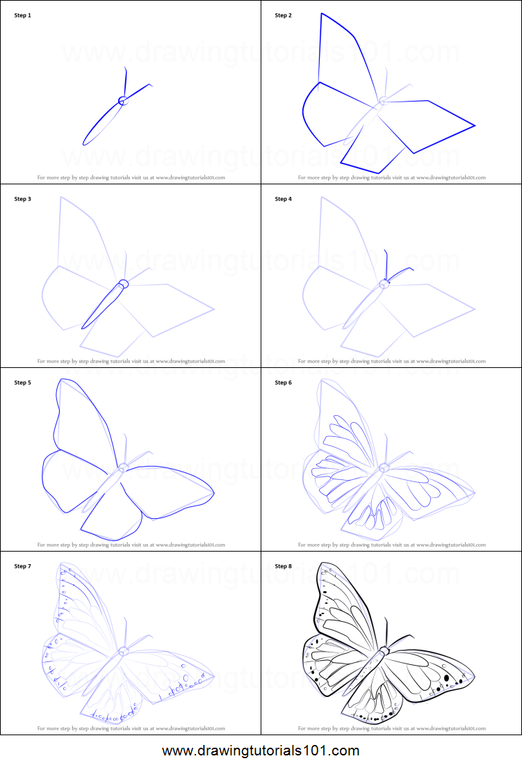 Пошаговый рисунок бабочки