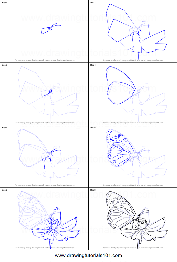 Бабочка пошагово нарисовать