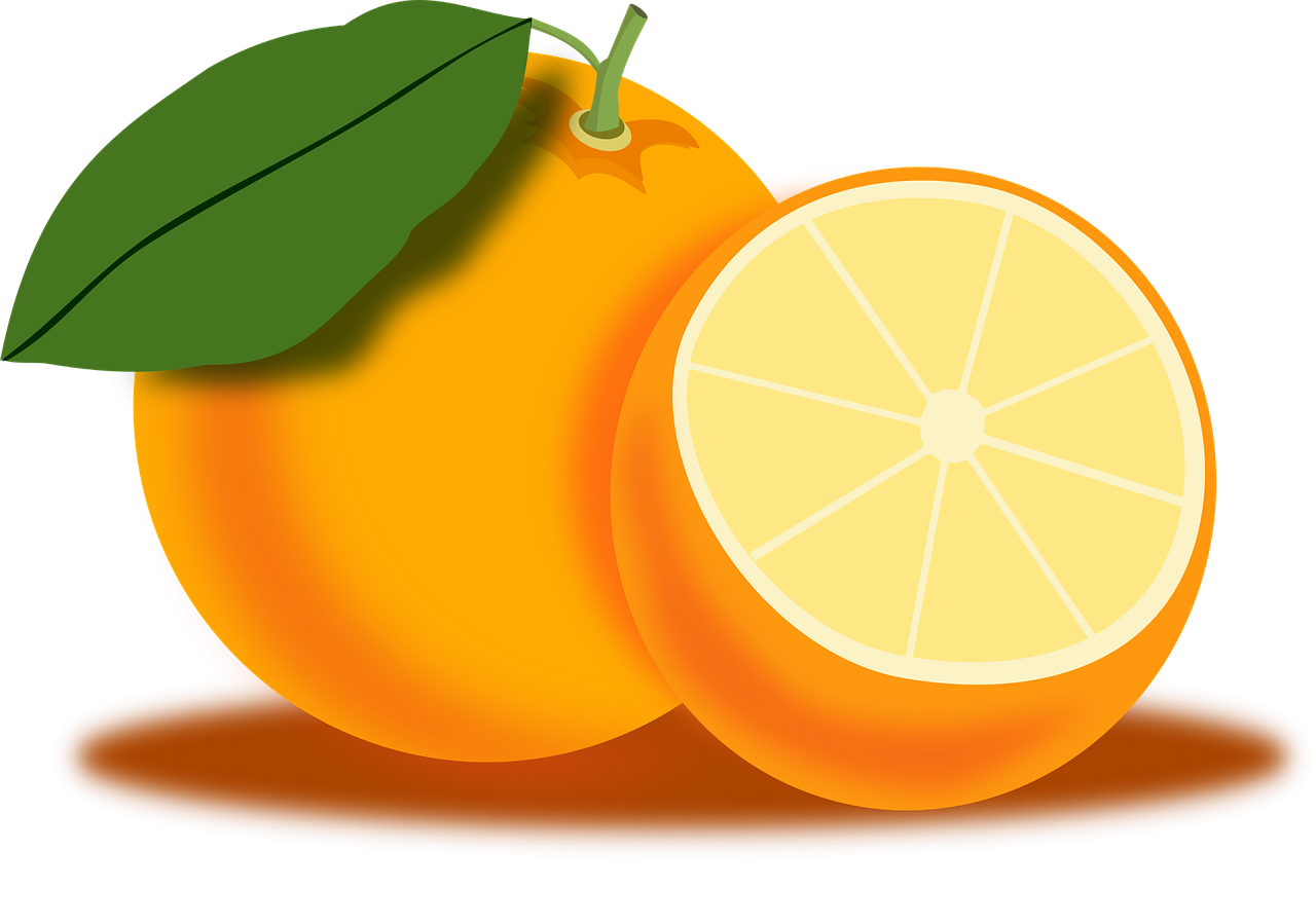 Апельсин картинка для детей на прозрачном фоне. Оранжевые фрукты рисунок. Картинки апельсин для детей цветные. Апельсин схематично. Апельсин рисунок для детей.