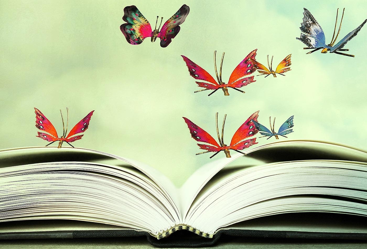 Красивые рисунки книг. Книга с бабочками. Раскрытая книга. Бабочка вылетающая из книги. Поэзия картинки.