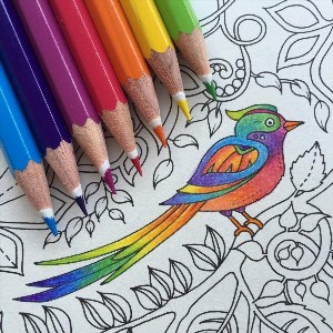 Раскрашиваем цветными карандашами