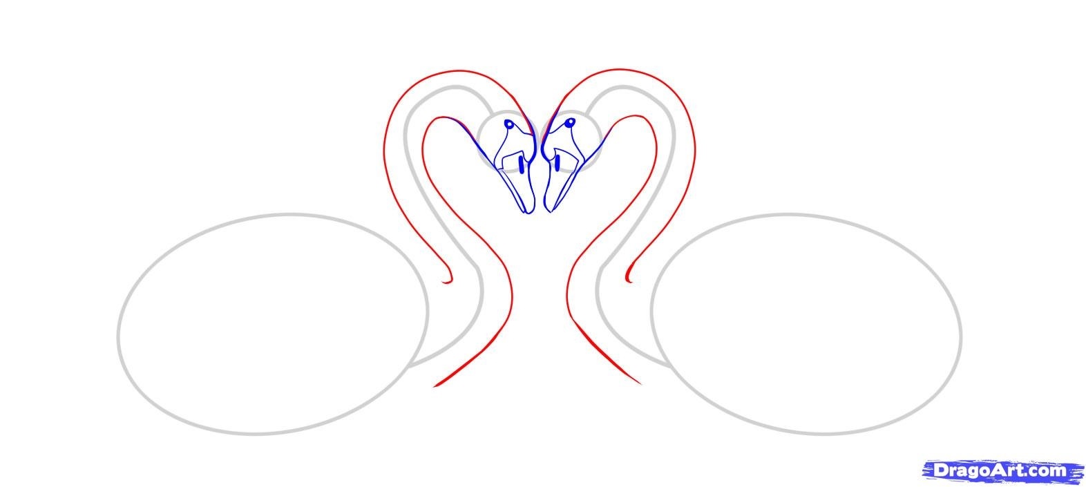 Как правильно нарисовать лебедя
