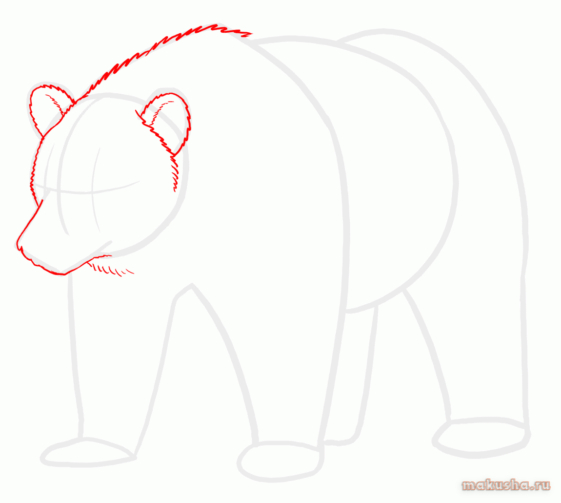 Как нарисовать белого медведя поэтапно для детей. Поэтапное рисование медведя. Нарисовать медведя поэтапно. Медведь рисунок по этапно. Белый медведь поэтапное рисование для детей.