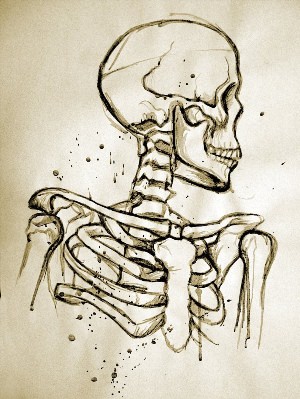 Скелет для срисовки лёгкие