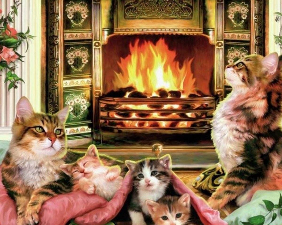 Уютного вечера. Уютный вечер с кошкой. Котенок у камина. Теплый уютный камин и кот. Вечера с котиком 1