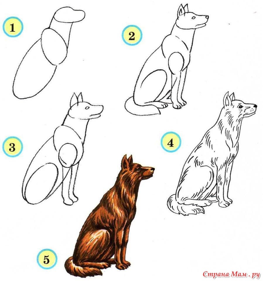 Рисунок собаки 3 класс легкие