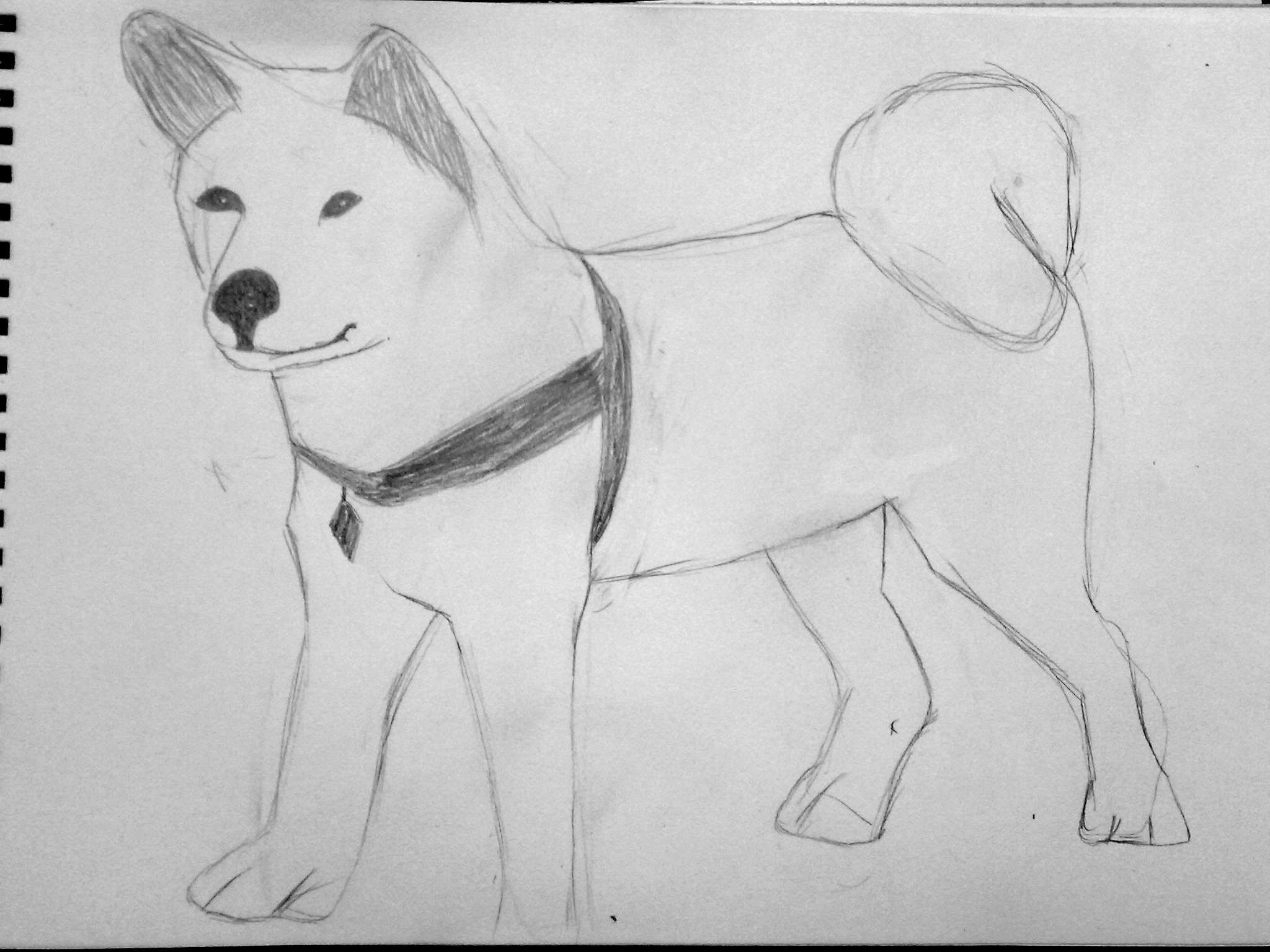 Нарисовать собаку карандашом легко и красиво. Собака рисунок карандашом. Рисунок собаки карандашом для срисовки. Собака для срисовки карандашом. Рисунок собаки для срисовки.