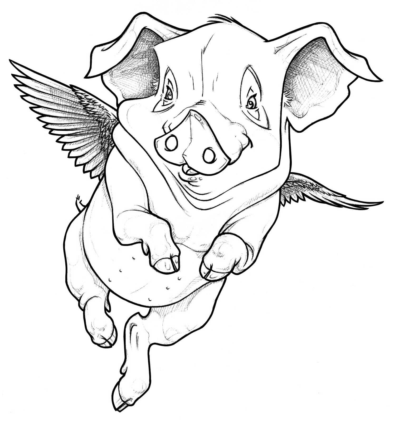 Свинья карандашом. Свинья эскиз. Поросенок эскиз. Рисунок поросенка карандашом для срисовки. Тату свинья эскизы.