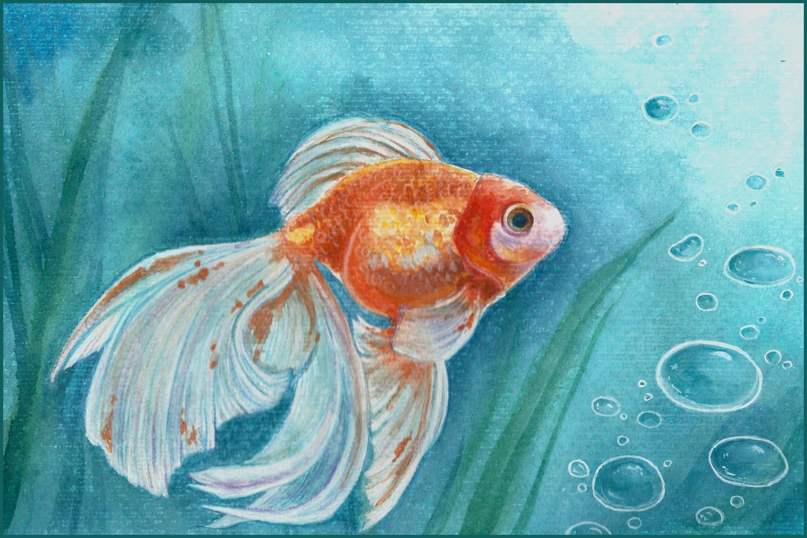 Goldfish кто нарисовал