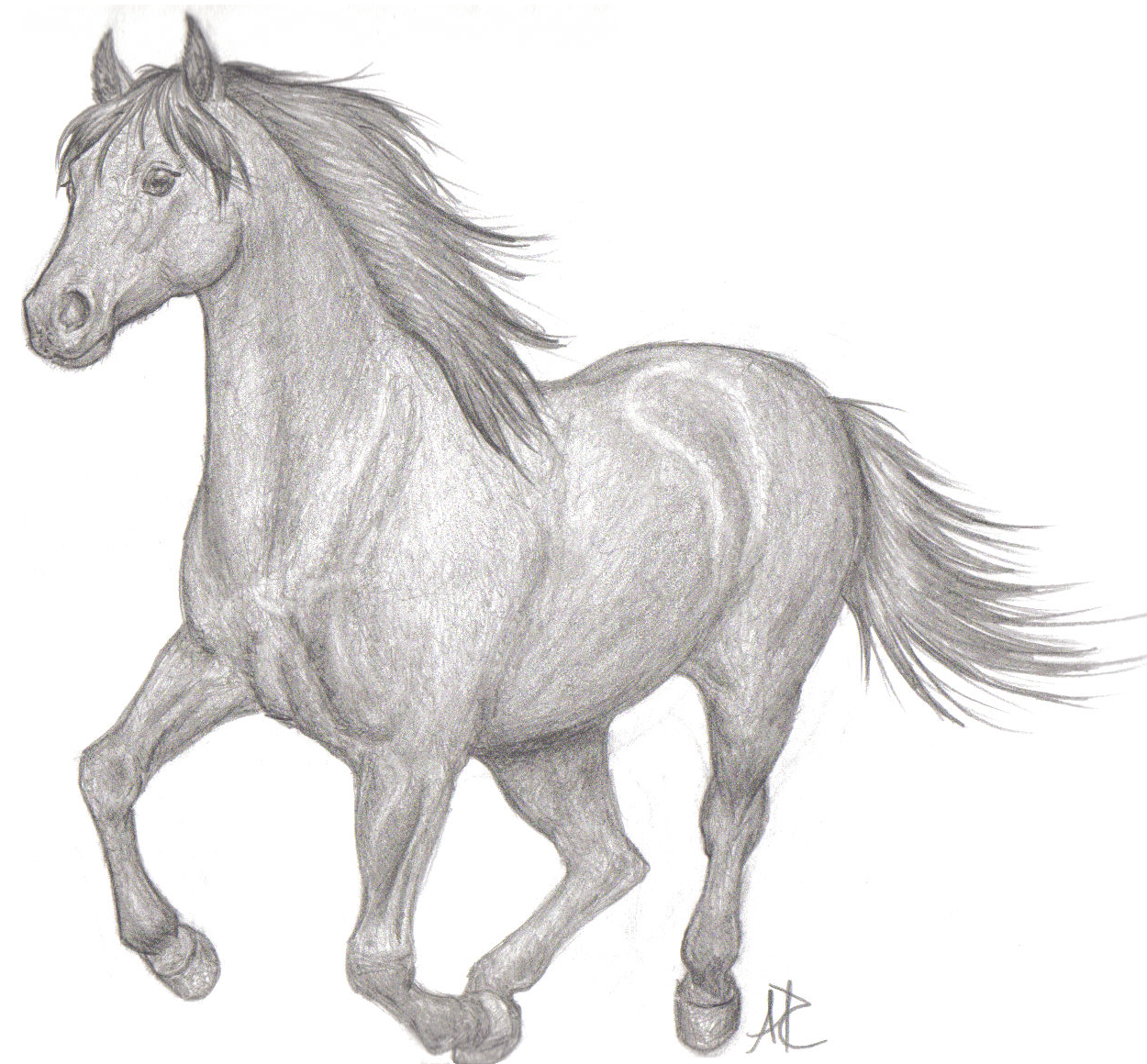 Рисунок коня