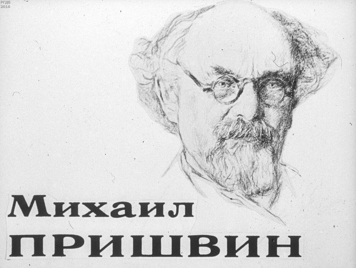 Пришвин портрет. Портрет Пришвина для детей в хорошем качестве. Пришвин на белом фоне. Пришвин на прозрачном фоне.