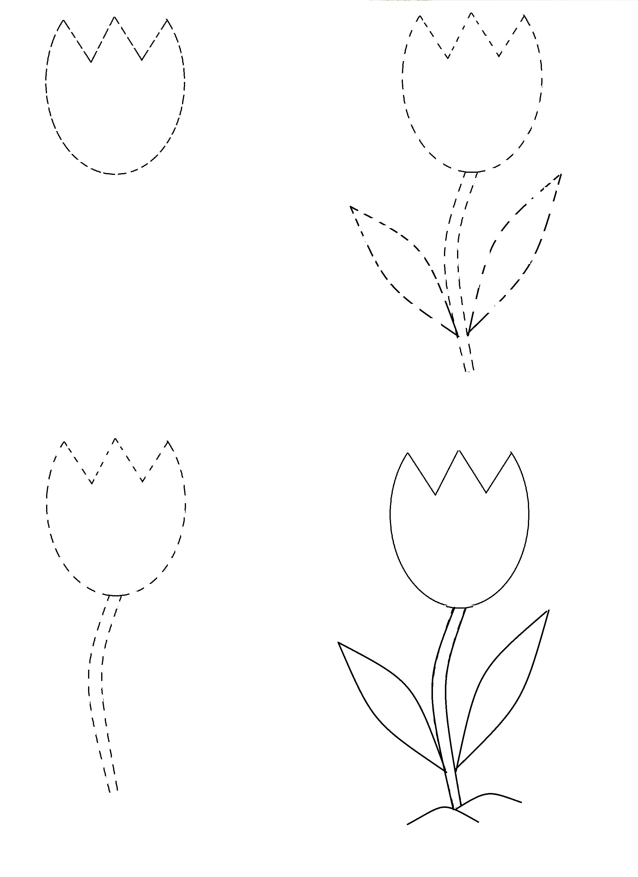 Нарисовать тюльпан поэтапно для детей как карандашом начинающих