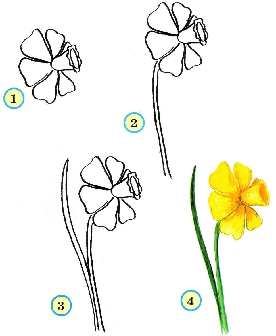 Поэтапное рисование цветов. Цветы рисунок. Рисование цветов. Поэтапное рисование цветка. Лёгкие цветы для рисования.