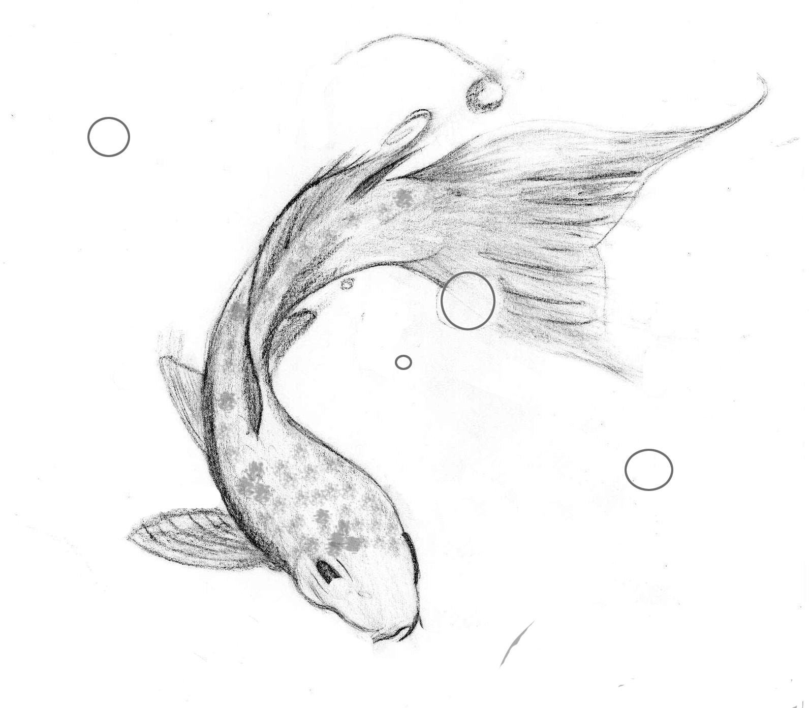 Нарисовать рыбку картинки. Рисунок рыбы карандашом для срисовки. Рыба карандашом. Рыбка рисунок карандашом. Рисунки рыбок для срисовки.
