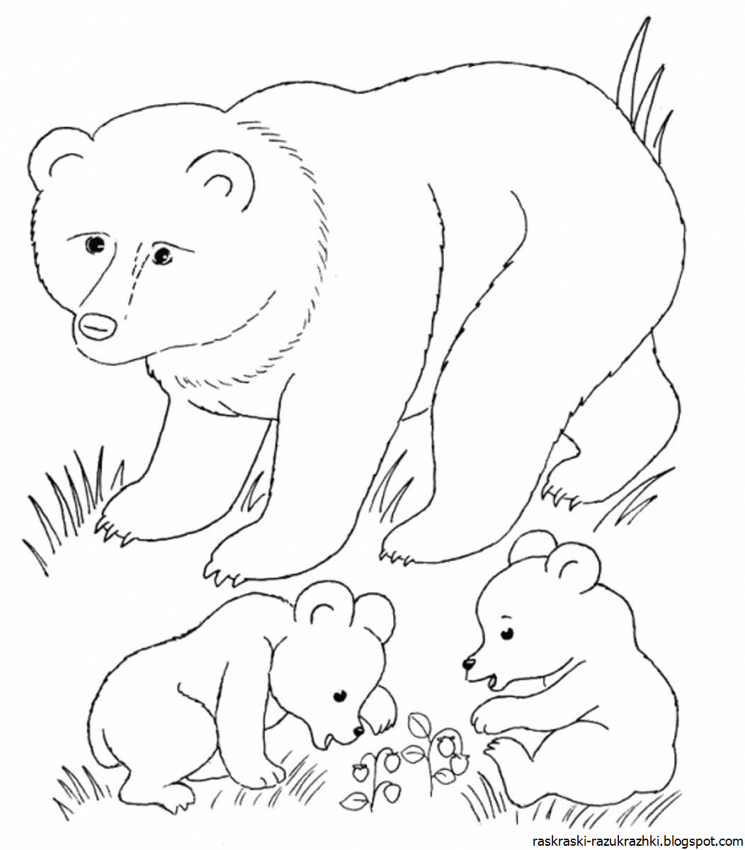 Раскраски животных для детей. Медведь раскраска. Раскраска "Дикие животные". Лесные животные раскраска для детей. Распечатать раскраску диких животных