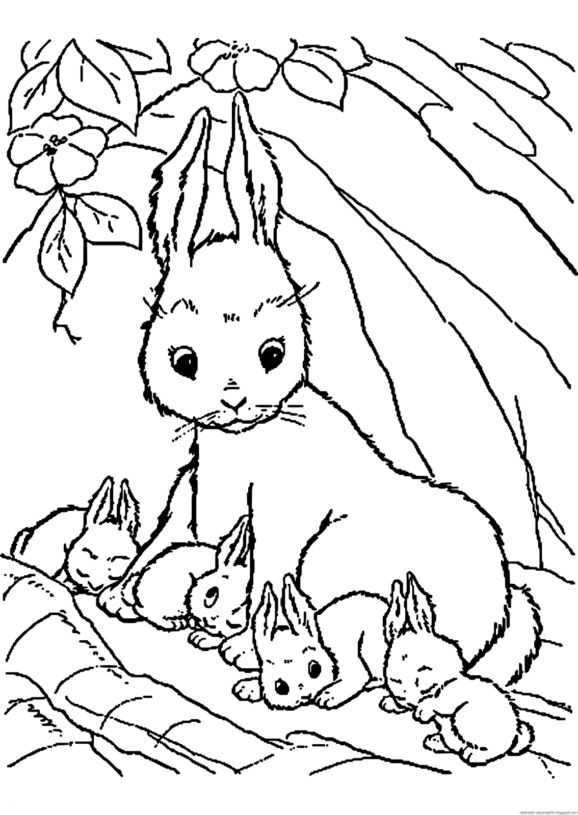 Раскраски животных для детей 4 5. Раскраски. Животные. Раскраски животных для детей. Раскраска "Дикие животные". Дикие животные раскраска для детей.