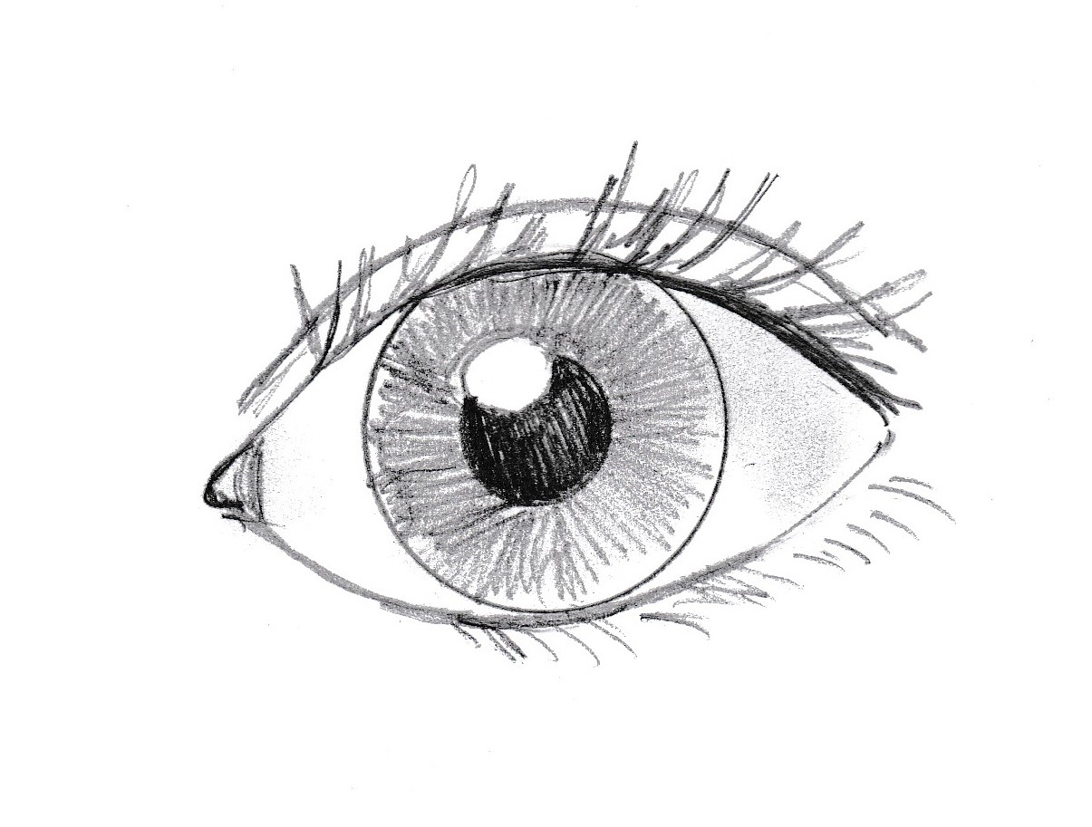 Глаз чертеж. Глаза рисунок. Карандаш для глаз. Глаза нарисованные. Человеческий глаз рисунок карандашом.