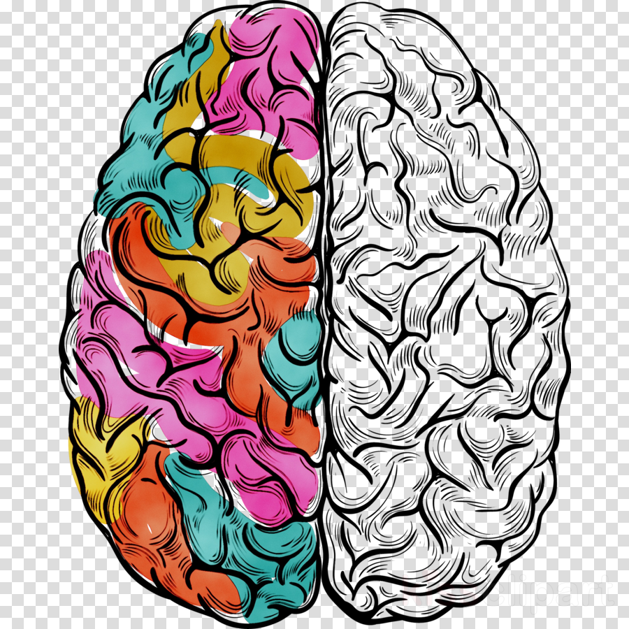 Большой мозг рисунок