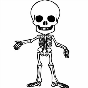 Скелет картинки для детей
