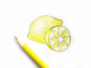 Лимон поэтапно карандашом