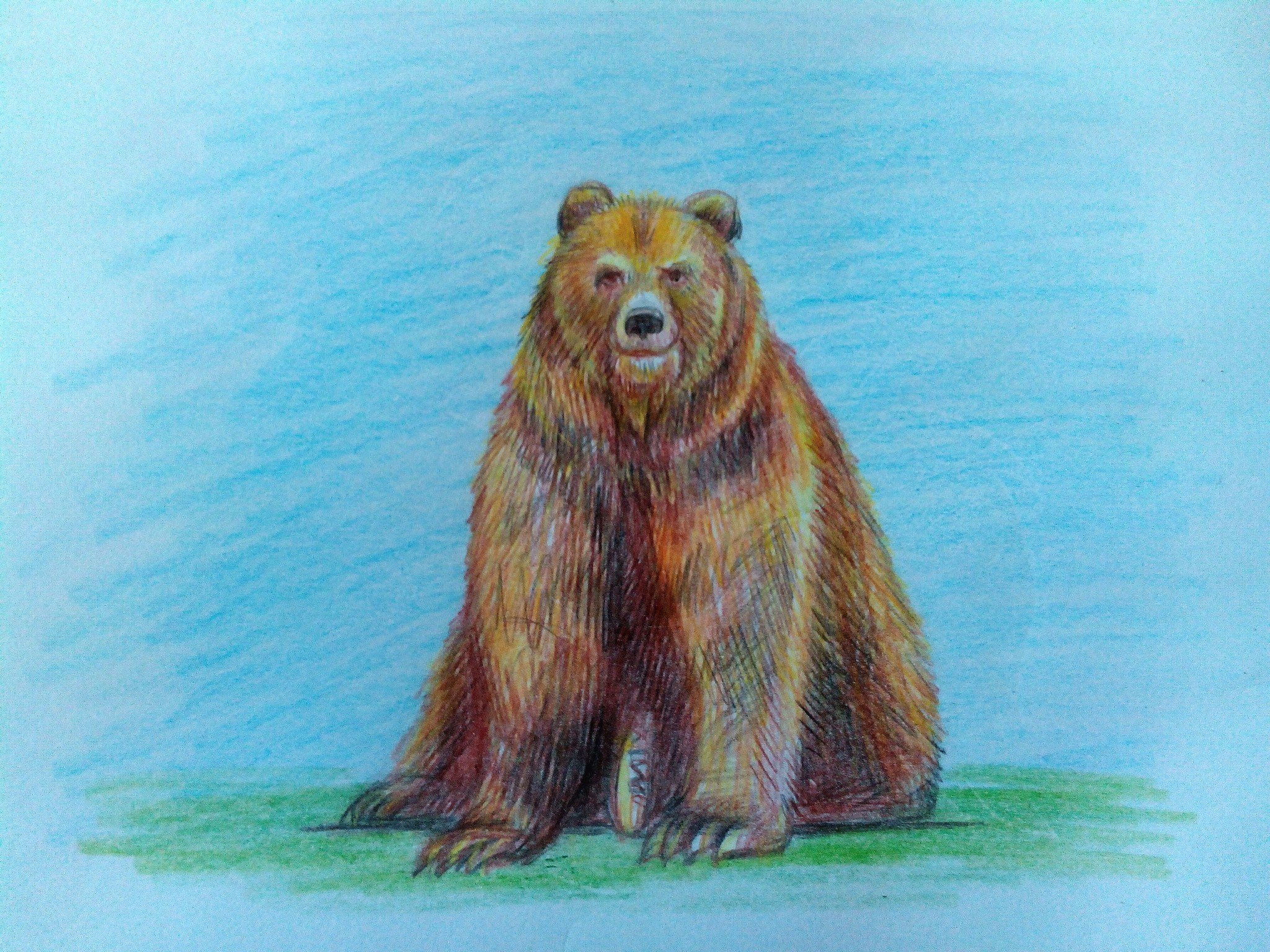 Медведь цветными карандашами. Медведь рисунок. Детские рисунки медведя. Медведь рисунок цветной.