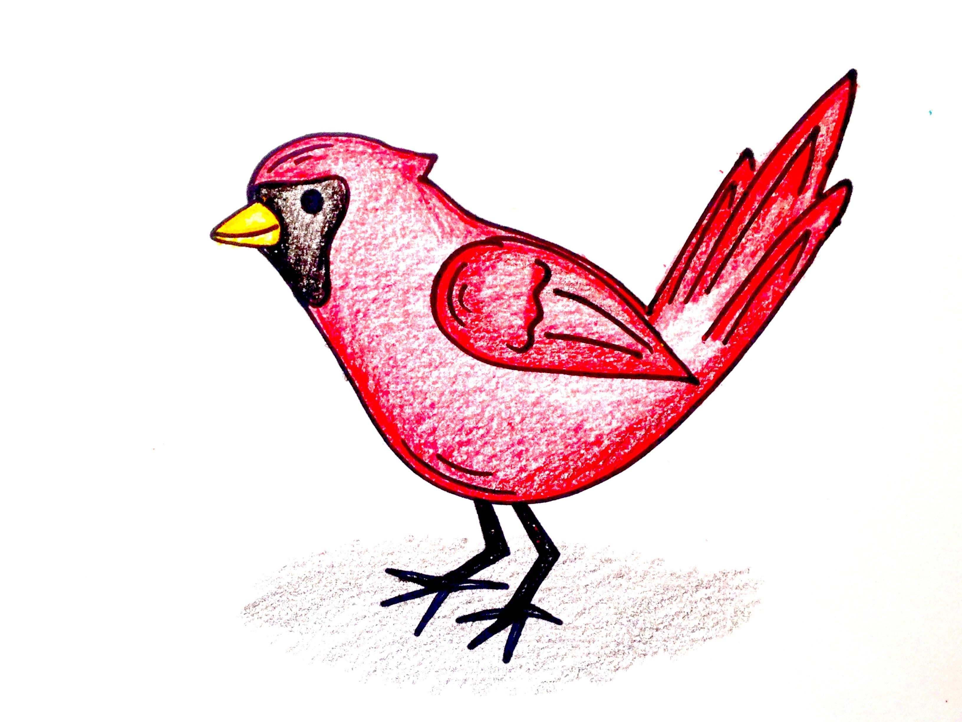 Рисунки птиц для срисовки легкие. Птица рисунок. Птички картинки для детей. Рисунки птиц для срисовки. Птички для срисовки легкие.