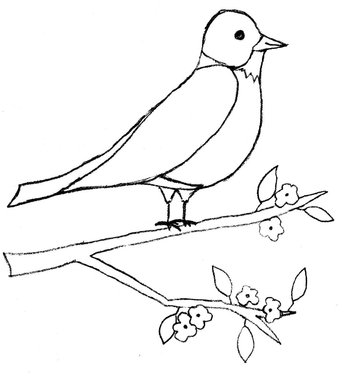 Рисунки птиц для срисовки легкие. Птица рисунок. Птичка рисунок карандашом. Птица на ветке рисунок. Птичка рисунок для детей карандашом.