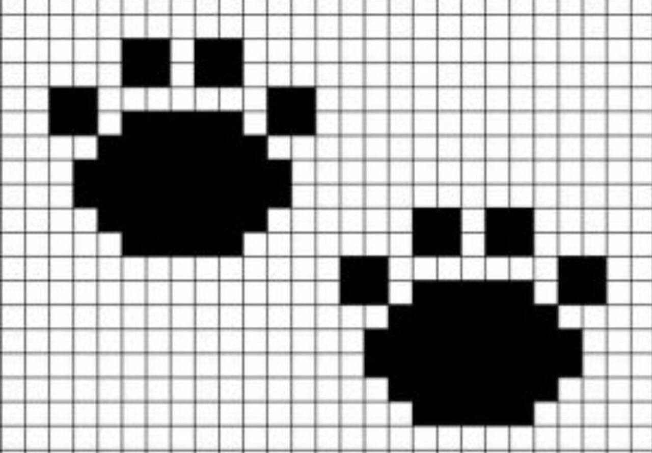 Как рисовать лапку по клеточкам