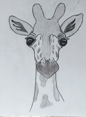 Голова жирафа рисунок поэтапно