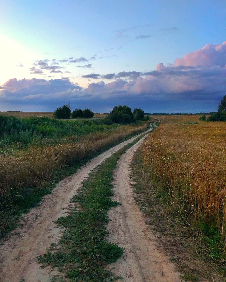 Вдаль степи. Дорога уходящая вдаль. Дорога в поле. Летняя дорога. Пейзаж с дорогой.